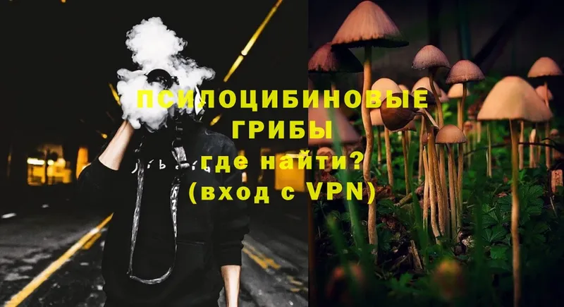 Псилоцибиновые грибы Magic Shrooms  это как зайти  Багратионовск  блэк спрут онион 